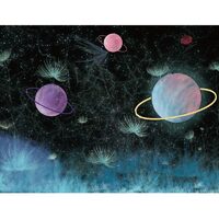 Kit pictura pe numere 40x50cm, PPT3786