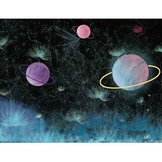 Kit pictura pe numere 40x50cm, PPT3786