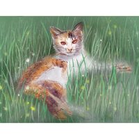 Kit pictura pe numere 40x50cm, PPT3794