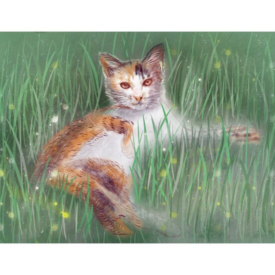 Kit pictura pe numere 40x50cm, PPT3794
