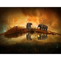 Kit pictura pe numere 40x50cm, PPT3798