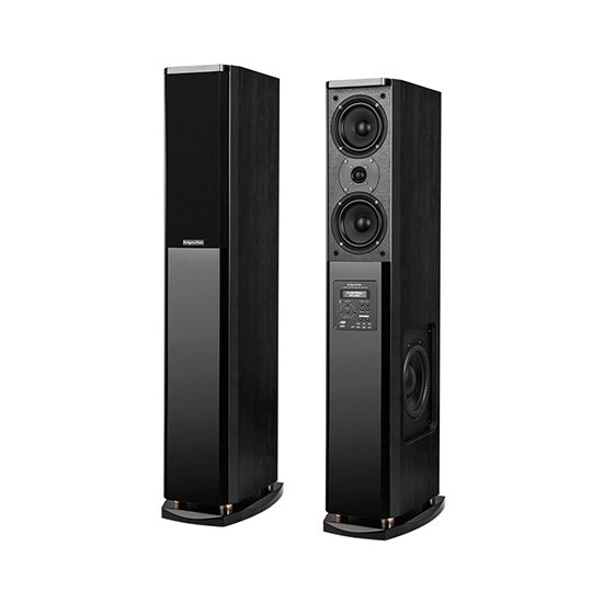 SISTEM AUDIO PASSION NEGRU KRUGER&MATZ