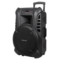 Boxa activa portabila, 60 W, 2 x Microfoane, Telecomanda, Troller, card SD, USB, Intrare pentru chitară