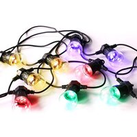 Sir 50 led iluminat festiv RGB, IP44, lungime 5 m