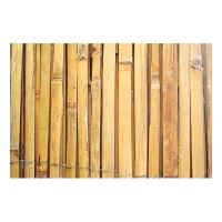 Panou de gard/paravan din bambus Strend Pro BSF, 2x5 m