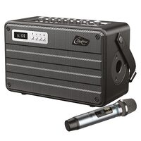 Boxa portabila Retro 100W Bluetooth, USB, microSD & AUX, 375x244x168mm, Microfon