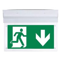 Lampa led iesire de urgenta 2 W, 6000K, 140 lm, IP20, Coborare