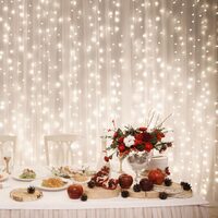 Perdea de lumini 600 x LED, legare în serie, dimensiune 2x3 m, IP44, lumina calda