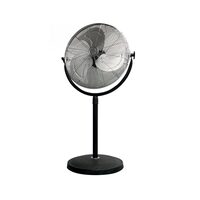 Ventilator cu picior, protectie metalica, 45 cm, 100 W, 3 viteze, Negru/Argintiu