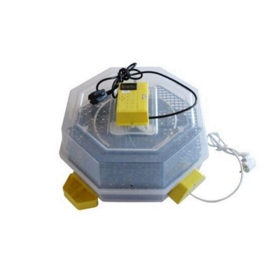Incubator pentru oua, Cleo 5DTH automat, cu alimentare apa din exterior 