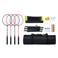 Set badminton, fileu, 4 x rachete, 3 x fluturasi, 6150x1585 mm