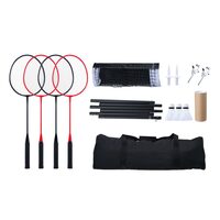 Set badminton, fileu, 4 x rachete, 3 x fluturasi, 6150x1585 mm, portabil, geanta transport