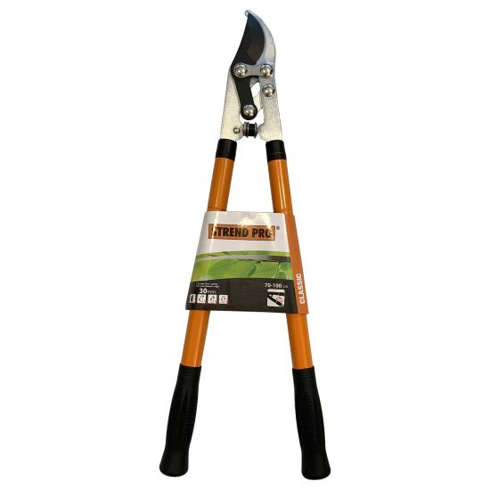 Foarfeca telescopica pentru pomi, crengi Strend Pro Cut41 KT3826A, 70-100 cm, max 30mm