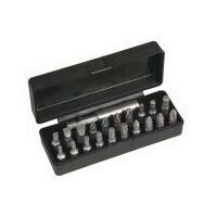 Set profesional biti 21 buc, in cutie, Strend Pro EVE-12054, Crom-Vanadium