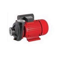 Pompa de gradina de suprafata, Raider RD-2DK20, 30000L/h, 1500 W, 20 m