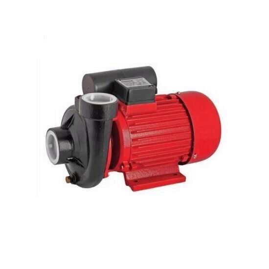 Pompa de gradina de suprafata, Raider RD-2DK20, 30000L/h, 1500 W, 20 m