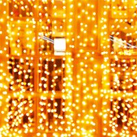 Perdea de lumini 200 x LED, 2x2 m, Lumina alb cald, IP44, Temporizator, 8 x memorie