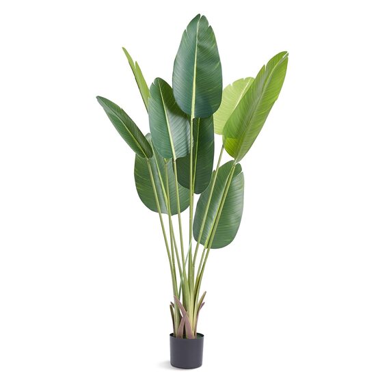 Planta artificiala decor Pasarea Paradisului, Dimensiuni 700 x 700 x 1524 mm, verde, PE si Inox