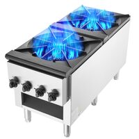 Aragaz profesional, 2 Arzatoare, Inox si Fonta, 52 kW, dimensiune 460 x 1170 x 610 mm