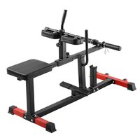 Aparat cu suport greutati pentru gambe, max 200 kg, Spatar reglabil, Inaltime reglabila, 1422 x 893 x 591 mm 