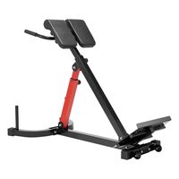 Aparat de fitness multifunctional, pentru fesieri, spate inferior, abdomen, max 158 kg, Otel