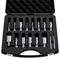 Set 16 freze magnetice cu coada Weldon, adancime taiere 25.4 mm, diametru taiere 11.11 mm-34.92 mm, HSS, 14 burghie cu 2 stifturi pilot, carcasa din plastic