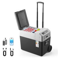 Cutie frigorifica profesionala cu compresor, Troller, Capacitate 40 l, Alimentare 12V/24V DC 100-240V AC, -22℃ până la 10℃