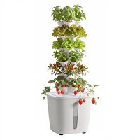 Ghiveci turn hidroponic, 30 capsule, 6 x niveluri, Rezervor 20 l, pompa, kit germinare