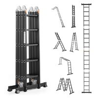 Scara pliabila multifunctionala, 5.8 m, max 150 kg, Aluminiu, 4 x sectiuni cu balamale, 20 trepte