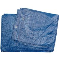Prelata Vorel 85122, densitate 57g/m², 2x3 m, inele de prindere