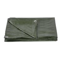 Prelata impermeabila Strend Pro Tarpaulin Light 3x4 m, inele de prindere, 65g/m², waterproof