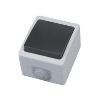 Intrerupator simplu PT, Atom One Way, pentru exterior, IP54