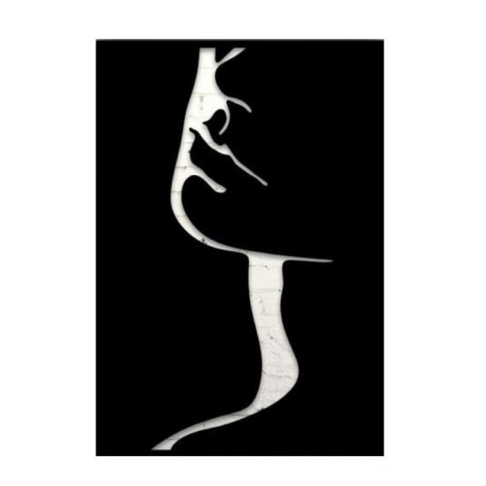 Decoratiune de perete Krodesign Women Face, 38x27 cm, metal, negru