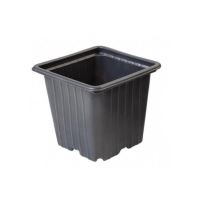 Set 10 pahare pentru rasaduri, Strend Pro patrat 8x8x7cm